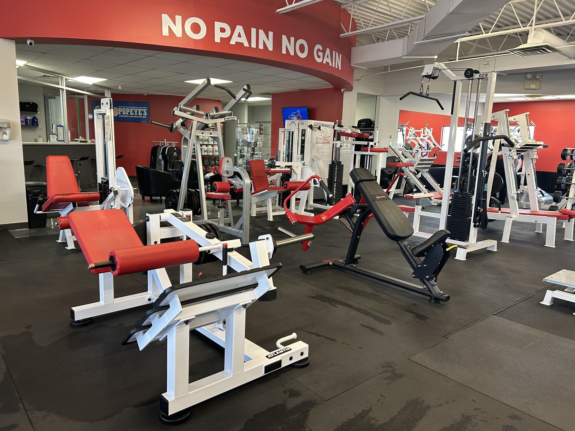 Enseigne NO PAIN NO GAIN — Body Gym